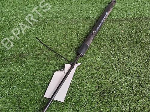 Used Tailgate lift support RENAULT CLIO IV (BH_) 1.2 16V (73 hp) 23647104