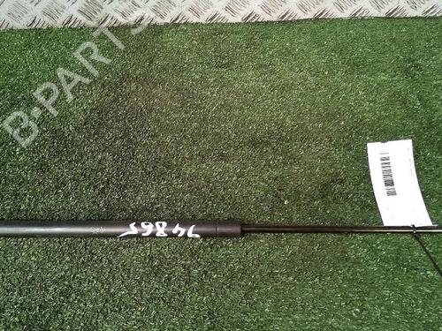 Amortiguador capot MINI MINI (R50, R53) One (90 hp) 30075713