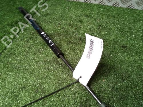 Tailgate lift support RENAULT SCÉNIC II (JM0/1_) 1.9 dCi (JM0G, JM12, JM1G, JM2C) | BP17157085C138 