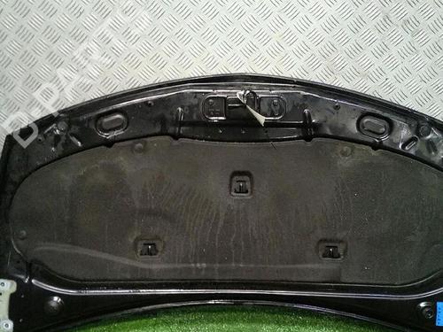 Used Hood RENAULT CLIO III (BR0/1, CR0/1) 1.5 dCi (75 hp) 30065494