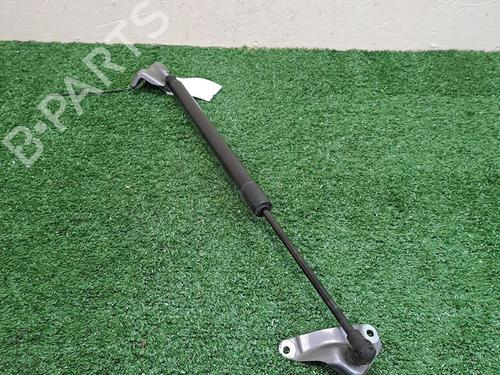 tailgate-lift-support-renault-modus-grand-modus-fjp0_-2004-30068270 main image