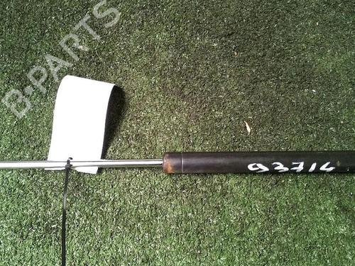 Tailgate lift support RENAULT CLIO II (BB_, CB_) 1.4 (B/CB0C, B/CB0S) | BP30073305C138 