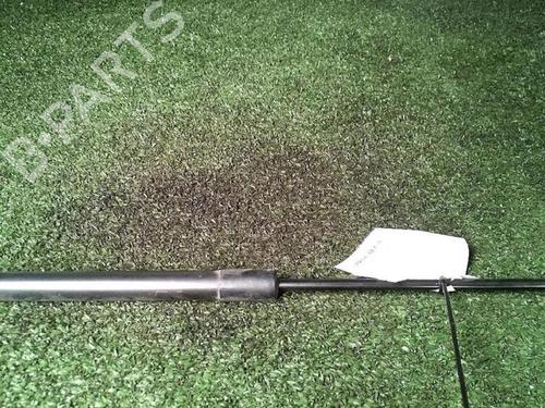 tailgate-lift-support-citroen-c3-ii-sc_-2009-29952904 main image