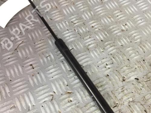 tailgate-lift-support-citroen-c3-ii-sc_-2009-30072472 main image