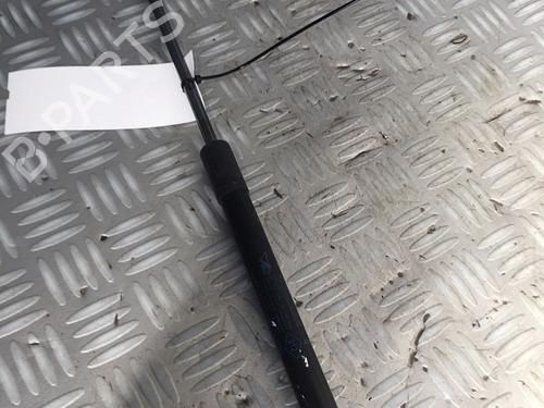 Gassdemper Bakluke RENAULT TWINGO II (CN0_) 1.2 16V (CN04, CN0B) (75 hp) 29951275