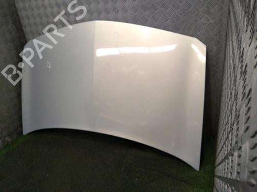 Used Hood RENAULT MEGANE II (BM0/1_, CM0/1_) 1.9 dCi (BM0G, CM0G) (120 hp) 17976230