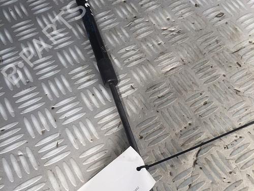 Used Tailgate lift support RENAULT TWINGO II (CN0_) 1.2 16V (CN0K, CN0V, CN0A) (76 hp) 29951274