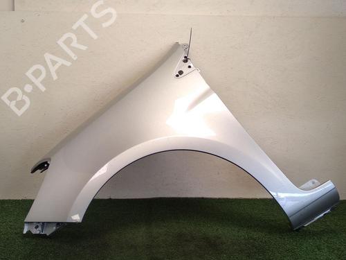 Left front fenders RENAULT CLIO III (BR0/1, CR0/1) 1.2 16V (BR02, BR0J, BR11, CR02, CR0J, CR11) | BP29948957C41