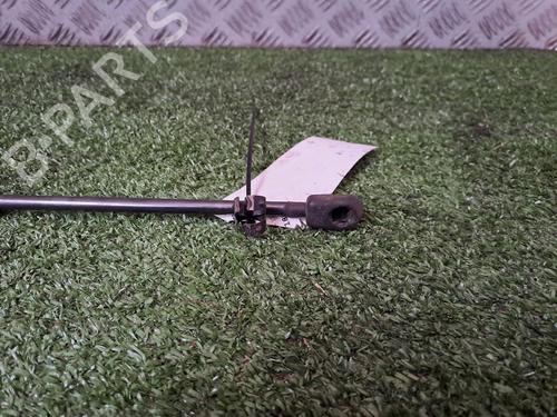 Tailgate lift support RENAULT MEGANE II (BM0/1_, CM0/1_) 1.9 dCi | BP21169207C138 