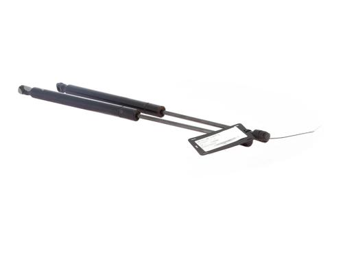 tailgate-lift-support-fiat-freemont-345_-2011-33168872 main image