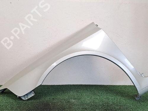 Left front fenders RENAULT LAGUNA II (BG0/1_) 1.9 dCi (BG08, BG0G) | BP30065584C41 