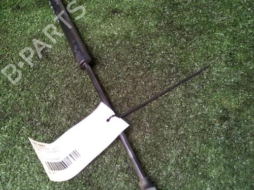 Tailgate lift support RENAULT CLIO IV (BH_) 1.5 dCi 90 | BP17157146C138 