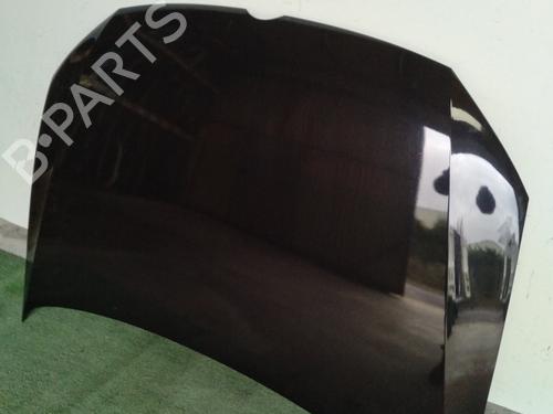 Used Hood VW POLO V (6R1, 6C1) 1.2 TDI (75 hp) 31645872