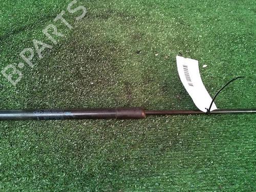 Tailgate lift support DACIA SANDERO 1.2 16V | BP30073793C138 