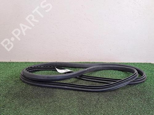 Used Rubber door seal RENAULT MEGANE III Coupe (DZ0/1_) 1.5 dCi (DZ0B) (106 hp) 30066064