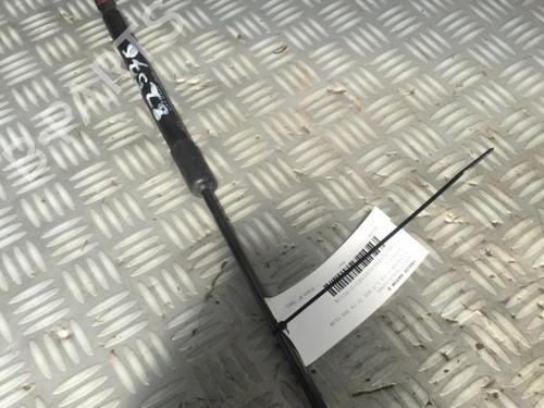 Tailgate lift support CITROËN C3 III (SX) 1.6 BlueHDi 75 | BP29951281C138