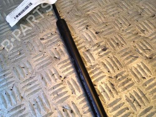 tailgate-lift-support-renault-zoe-bfm_-2012-30072700 main image