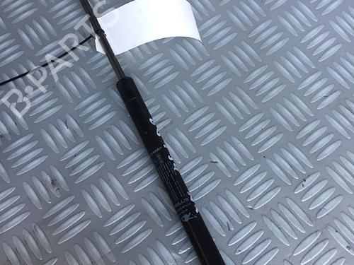 Used Tailgate lift support FIAT PUNTO EVO (199_) 1.3 D Multijet (199AXC1A, 199BXC1A, 199AXT1A, 199BXT1A) (75 hp) 30072655