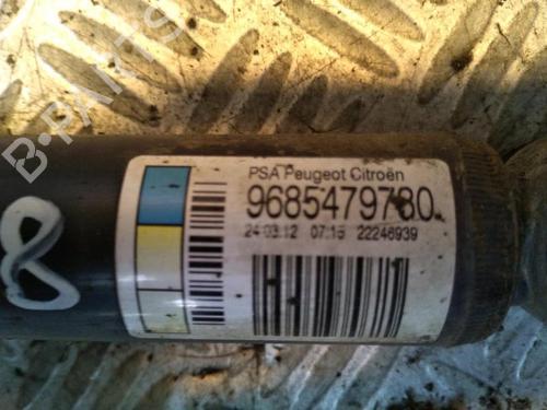 Right rear shock absorber CITROËN C3 II (SC_) 1.4 | BP29952317M19 