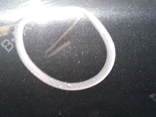 Used Right front door DACIA LOGAN (LS_) 1.5 dCi (LS0K) (68 hp) 30063783