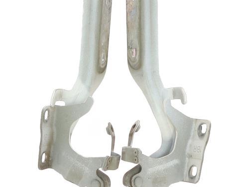 hingedoor-check-strap-nissan-juke-f15-2010-2011-2012-2013-2014-2015-2016-2017-2018-2019-33454112 main image