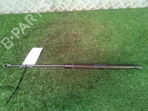 Tailgate lift support VW POLO (9N_, 9A_) 1.2 | BP17160800C138 