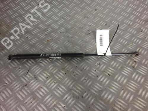 Tailgate lift support FIAT 500 (312_) 1.2 (312AXA1A) | BP30072447C138