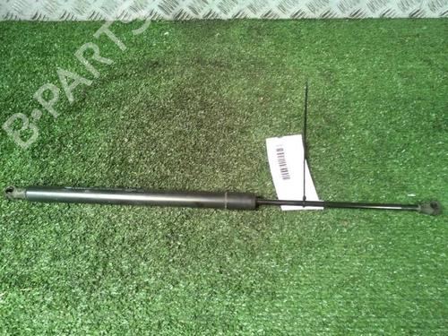 Tailgate lift support RENAULT SCÉNIC III (JZ0/1_) 1.9 dCi (JZ0J, JZ1J, JZ1K, JZ1S) | BP29951883C138 