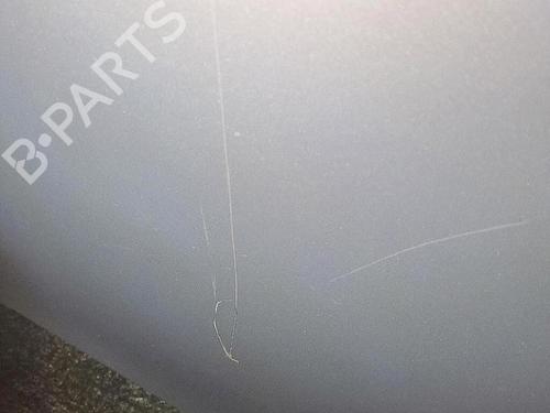 Hood RENAULT LAGUNA II (BG0/1_) 1.9 dCi (BG08, BG0G) | BP30064464C1 