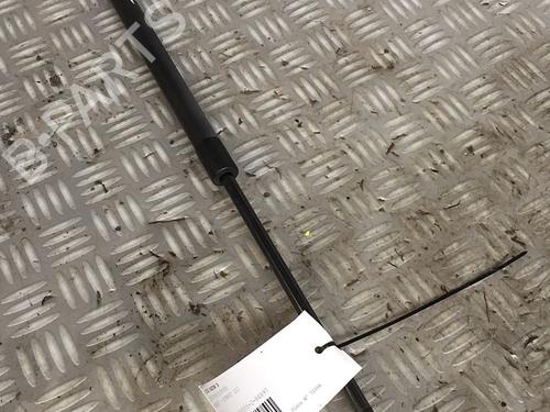 Used Tailgate lift support RENAULT GRAND SCÉNIC III (JZ0/1_) 1.9 dCi (JZ0J, JZ0N, JZ1K, JZ1S) (131 hp) 30072524