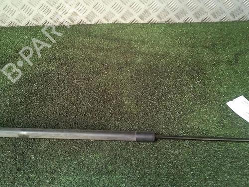 Used Tailgate lift support RENAULT GRAND SCÉNIC III (JZ0/1_) 2.0 dCi (JZ0Y, JZ26) (150 hp) 30076237