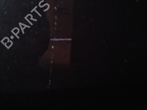 Tailgate RENAULT SCÉNIC III (JZ0/1_) 1.5 dCi | BP29950605C6 