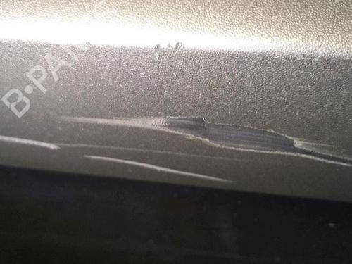 Left front door RENAULT MEGANE II (BM0/1_, CM0/1_) 1.6 16V | BP30076512C2