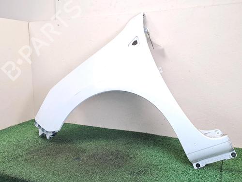 Left front fenders RENAULT KANGOO Express (FW0/1_)  | BP29017845C41 
