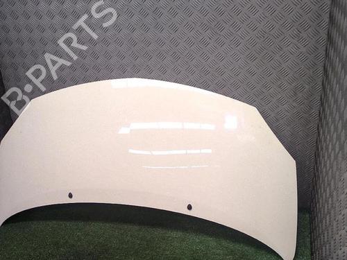 Used Hood Hood RENAULT TWINGO II (CN0_) 1.2 16V (CN04, CN0B) (75 hp) 30076251 30076251