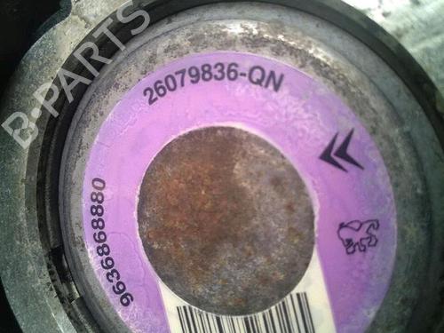 Steering pump PEUGEOT 206 Hatchback (2A/C) 1.4 i | BP29952933M99 