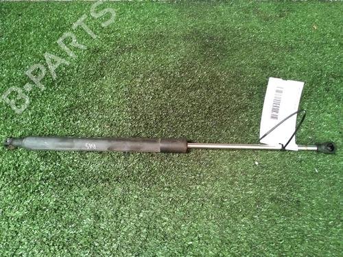 Gassdemper Bakluke RENAULT CLIO III (BR0/1, CR0/1) 1.5 dCi (C/BR0G, C/BR1G) (68 hp) 17161911