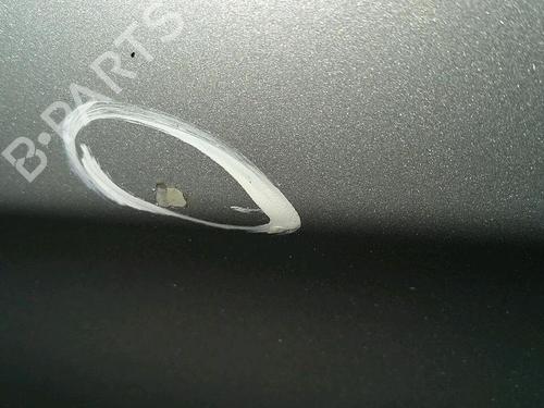 Left rear door MERCEDES-BENZ B-CLASS Sports Tourer (W245) B 200 CDI (245.208) | BP30075987C4