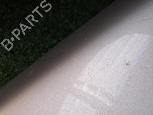 Left front fenders RENAULT MEGANE II (BM0/1_, CM0/1_) 1.5 dCi (BM1F, CM1F) | BP20163513C41 