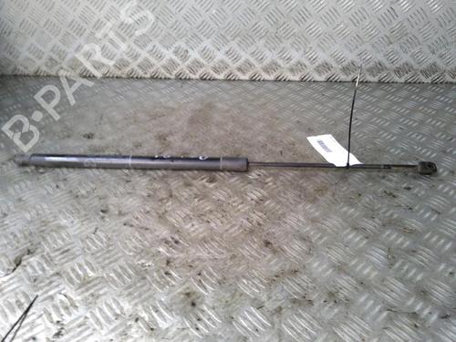 Used Tailgate lift support FORD GRAND C-MAX (DXA/CB7, DXA/CEU) 1.6 TDCi (115 hp) 17162960