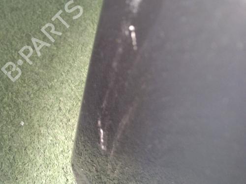 Hood RENAULT SCÉNIC III (JZ0/1_) 1.5 dCi | BP31258137C1