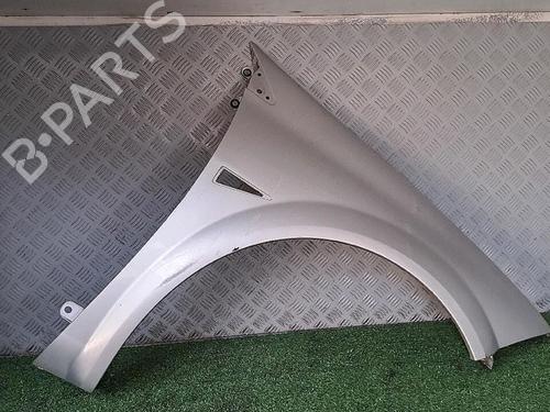 Right front fenders RENAULT MEGANE II (BM0/1_, CM0/1_) 1.5 dCi (BM1F, CM1F) | BP30076771C42