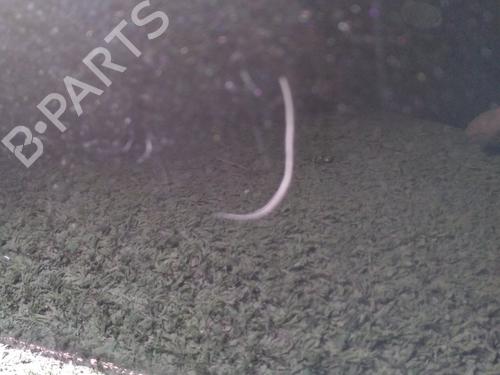 Used Tailgate Tailgate 32133910 32133910