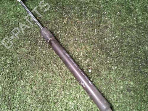 Used Tailgate lift support Tailgate lift support RENAULT CLIO III (BR0/1, CR0/1) 1.5 dCi (75 hp) 29951225 29951225