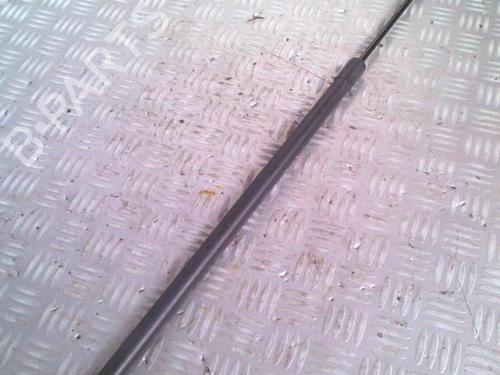 Tailgate lift support RENAULT KANGOO (KC0/1_) 1.5 dCi | BP30074836C138 