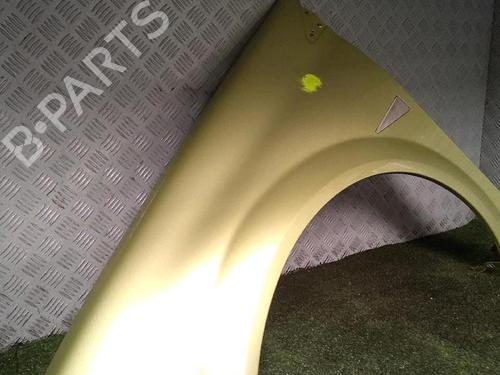 Left front fenders RENAULT MEGANE II (BM0/1_, CM0/1_) 1.6 16V (BM0C, CM0C) | BP29952948C41