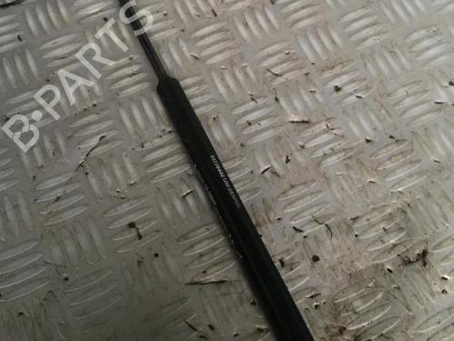 tailgate-lift-support-fiat-grande-punto-199_-2005-30072491 main image