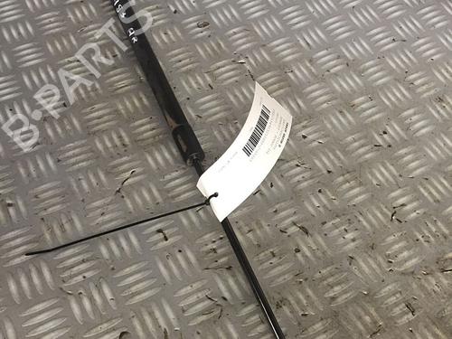 Gasdæmper bagklap RENAULT GRAND SCÉNIC III (JZ0/1_) 1.9 dCi (JZ0J, JZ0N, JZ1K, JZ1S) (131 hp) 30072600