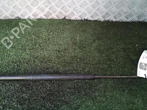 Used Tailgate lift support Tailgate lift support RENAULT SCÉNIC I MPV (JA0/1_, FA0_) 1.6 (JA00, JA16, JA15, JA19, JA1V, JA2B, JA2C, JA0B,... (107 hp) 30076389 30076389