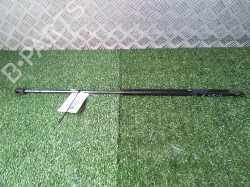 Used Tailgate lift support CITROËN XSARA (N1) 2.0 HDi 90 (90 hp) 17162982